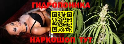 мескалин Камышлов