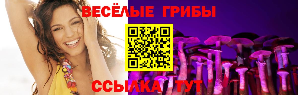 Краснознаменск  Псилоцибиновые грибы Psilocybe  Вход с VPN  Псилоцибиновые грибы ЛСД 